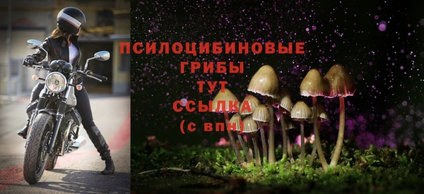 сатива Киреевск