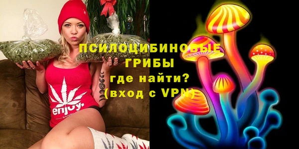 mdpv Карталы