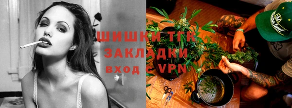 сатива Киреевск