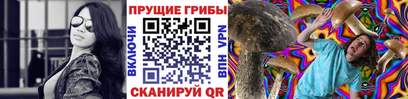 цена   Ухта  Псилоцибиновые грибы Cubensis 